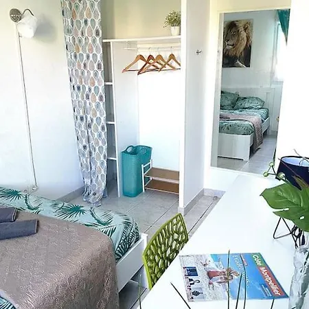 Appt Lumineux, Piscine, Wifi Apartment